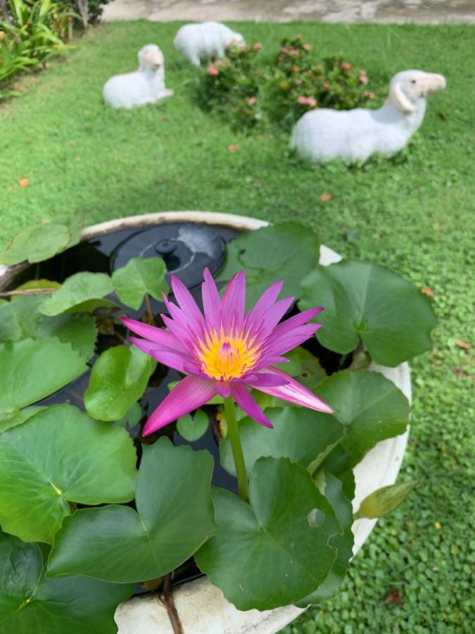 The Orchid House Ξενοδοχείο Nong Kung Yai Εξωτερικό φωτογραφία