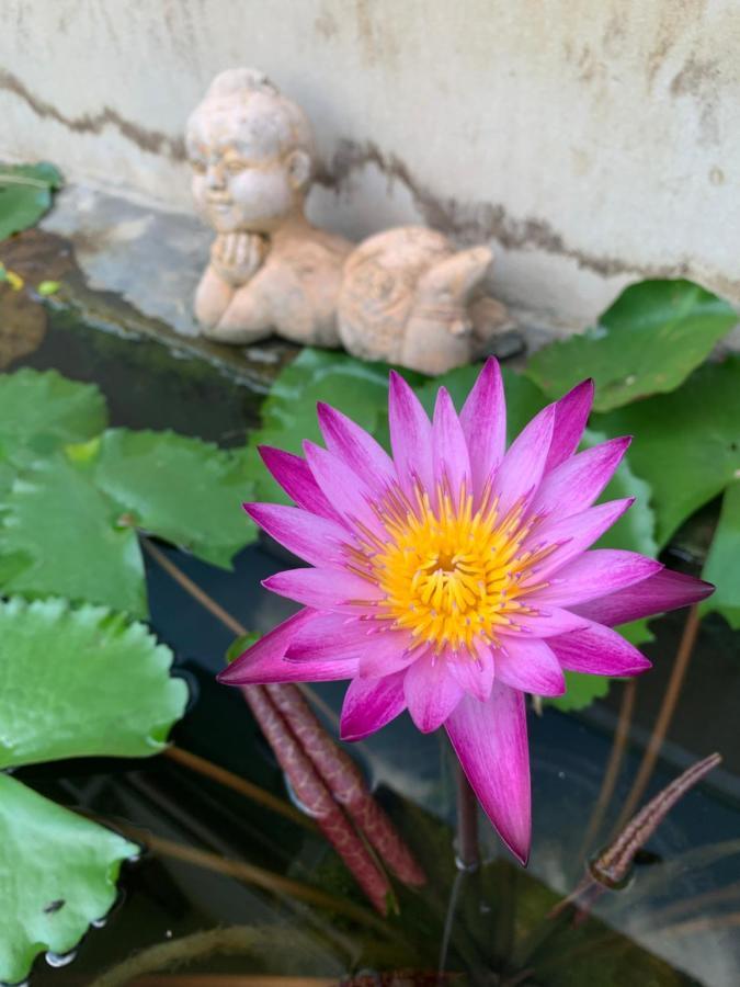 The Orchid House Ξενοδοχείο Nong Kung Yai Εξωτερικό φωτογραφία